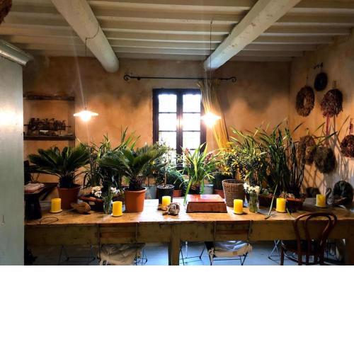 Casa Farsetti