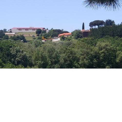 Casa Felisa Marcelle