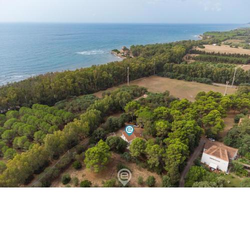 Casa Flamingo - Near the Sea