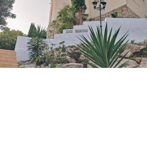 Casa Flamingo