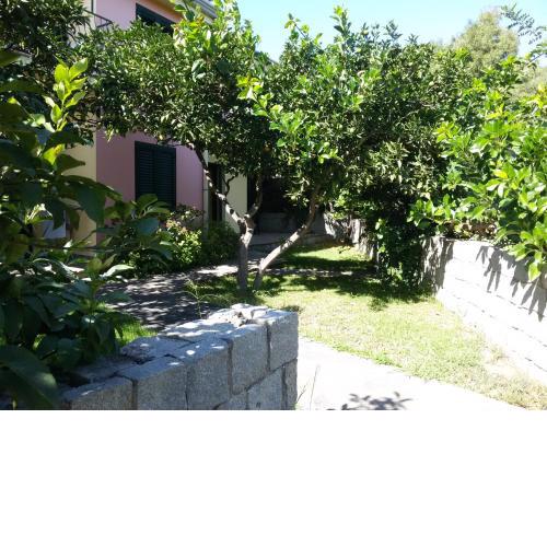 Casa Flavia