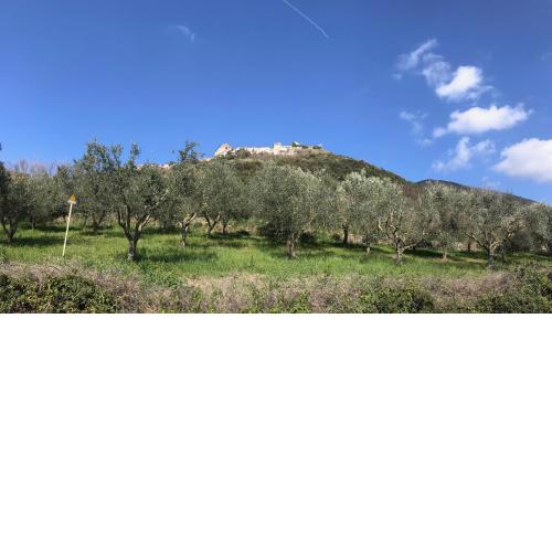 Casa Francesco 2