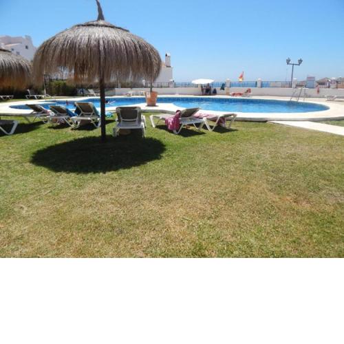 Casa Frijo Tropicana