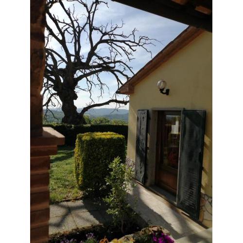 Casa Gaia