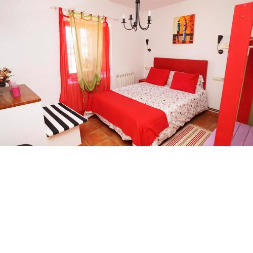 Casa Gatos