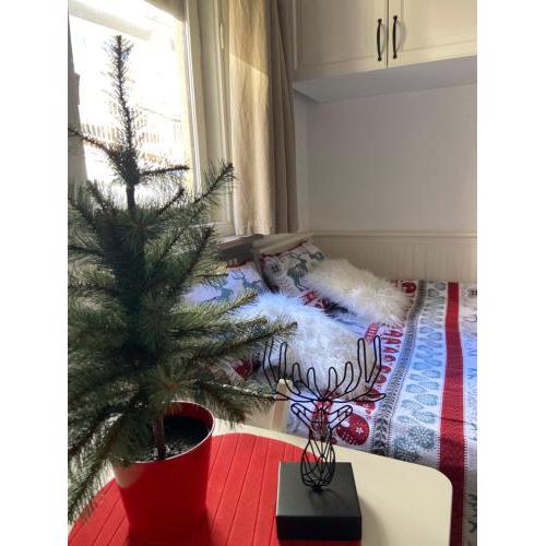 Casa Genepy - monolocale ristrutturato centralissimo CIR00126300072
