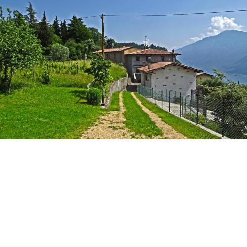 Casa Giacomina garden and Lake view by Gardadomusmea