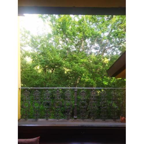 Casa gialla nel bosco