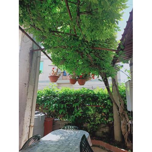 casa giardino