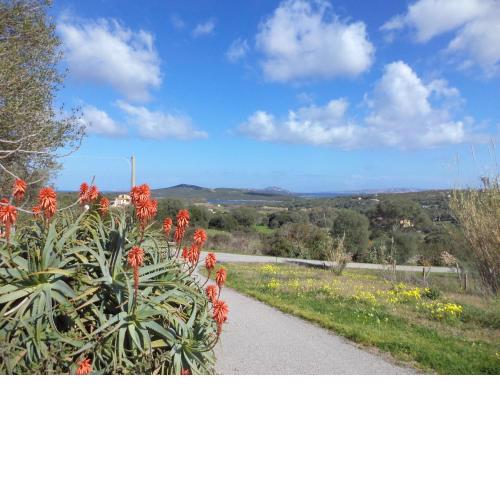Casa GiovanMarco con vista mare