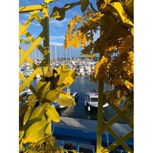 Casa Girasole Sanremo centro