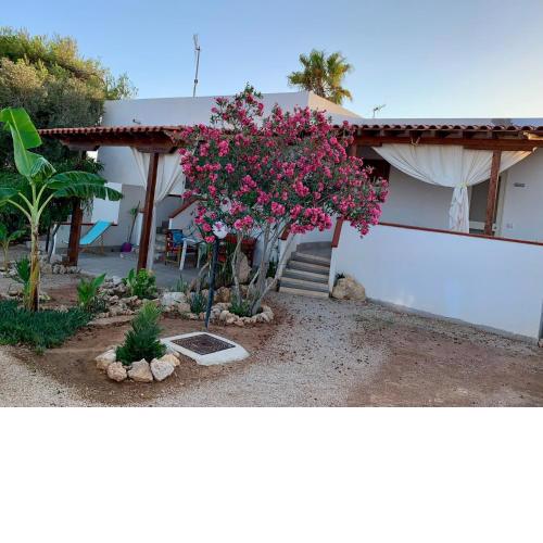 Casa Giulia a cala croce