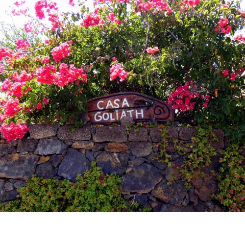 Casa Goliath