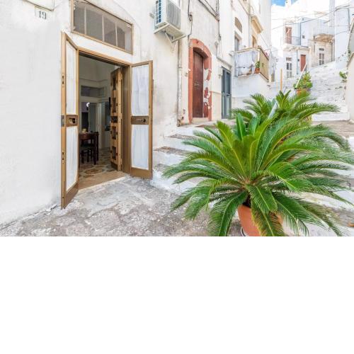 Casa Grace