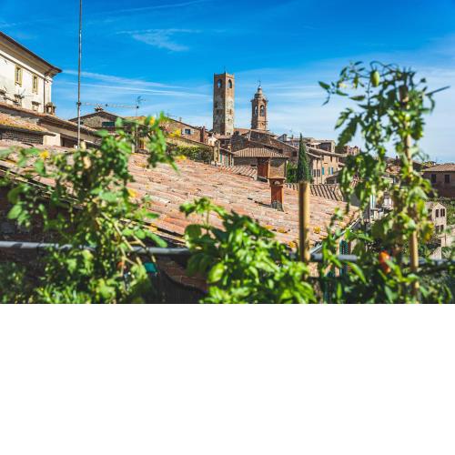 Casa Grinta B&B