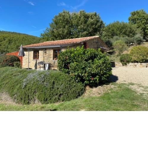 Casa Henry
