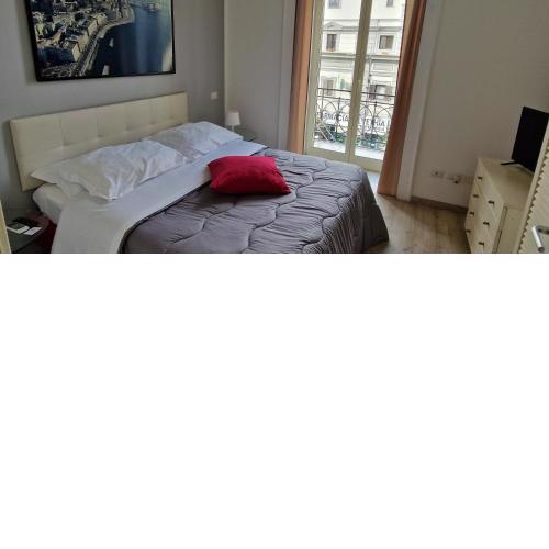 Casa House 381