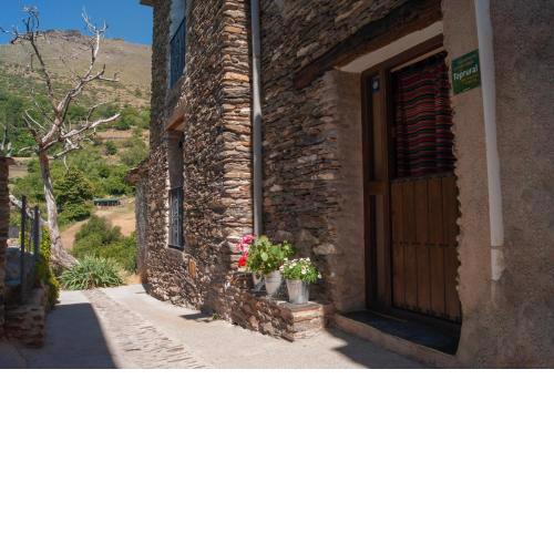 Casa-Huerto La Juana