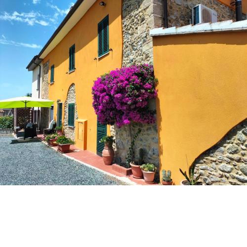 Casa Il Gallo