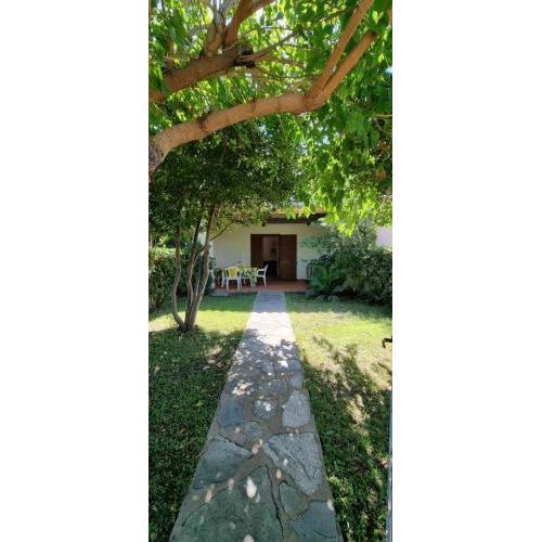 Casa Il Gelso