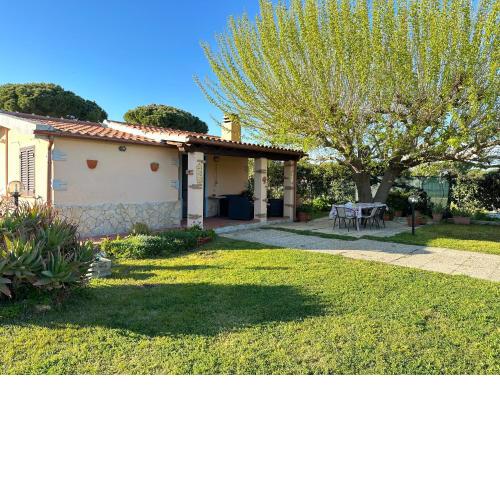 CASA IL PINO