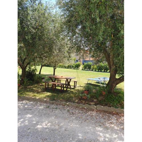 casa in campagna alle porte di Rimini 3min fiera 3 min mare