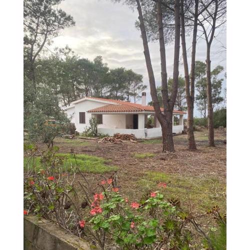 Casa indipendente in campagna
