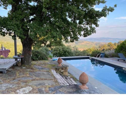 casa intera giardino e piscina