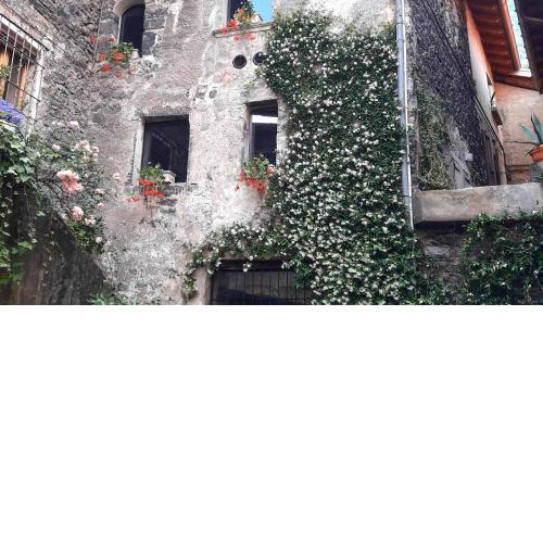 Casa Isola