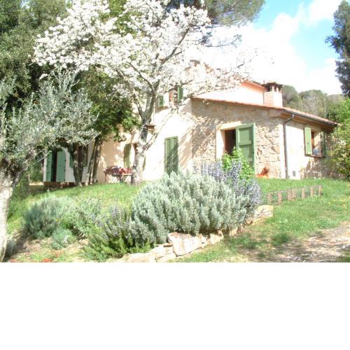 Casa Jacaranda