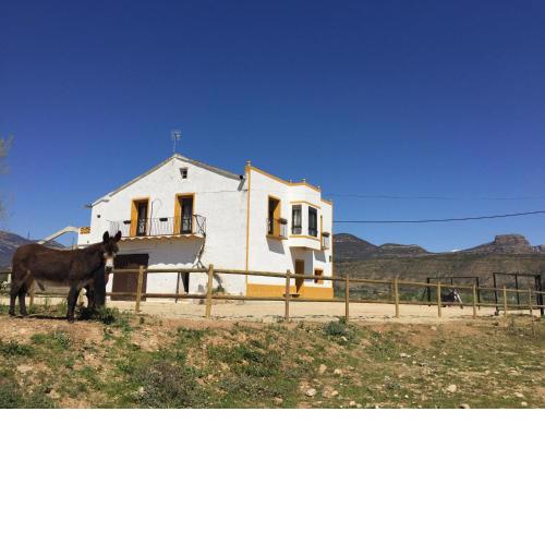Casa Justo