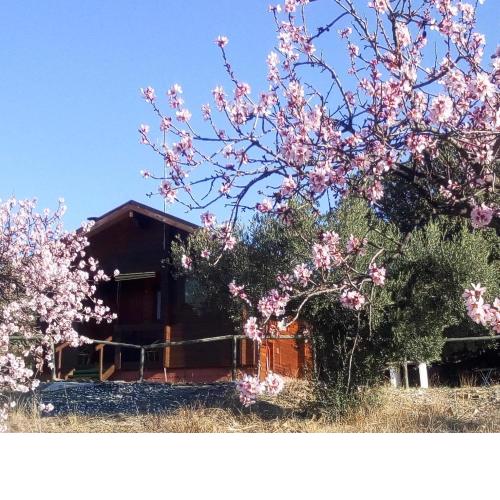 Casa La Colina Mandarina I