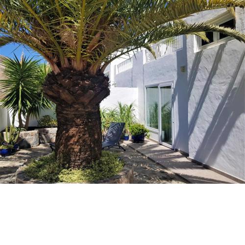 Casa La Palmera