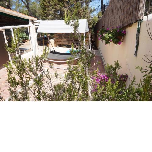 Casa la Paloma