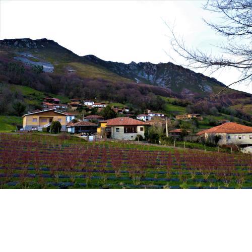 Casa L´Andorvio