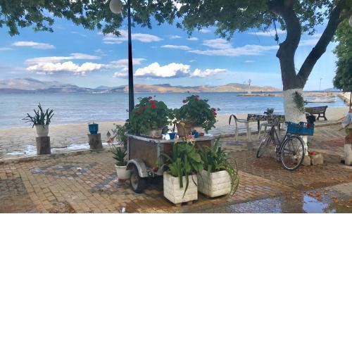 CASA LELA 3...HYDRA