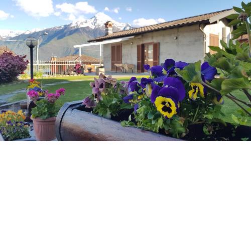 Casa Lena