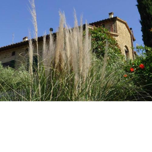 Casa Leonardo, Montaione, Mura
