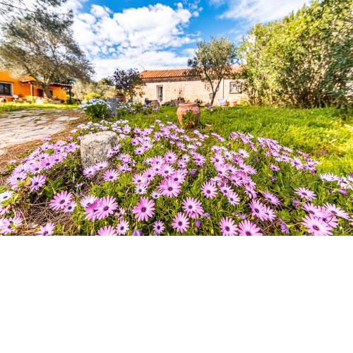 Casa Lilliosa