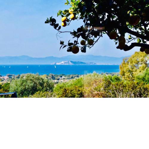 Casa Limone with spectacular sea view and gas BBQ!