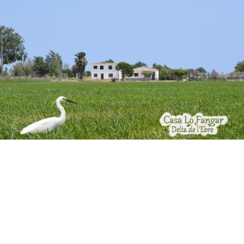 Casa Lo Fangar - Delta de l'Ebre - Casa Gran