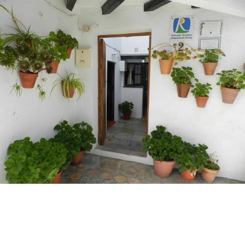 Casa Lola, La Plazoleta