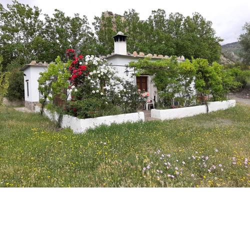 Casa los Muros