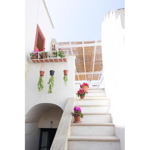 Casa Lucia