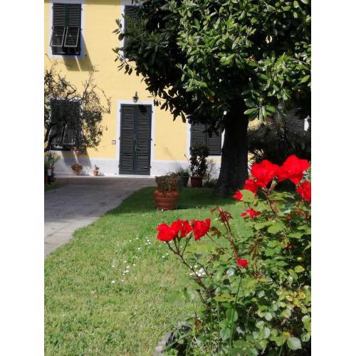 Casa Magnolia