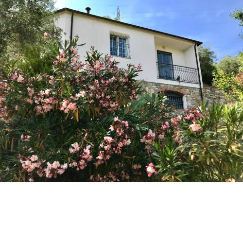Casa Mediterraneo