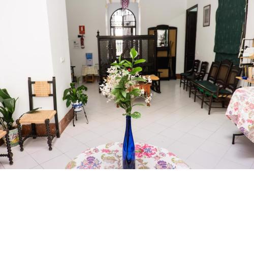 CASA MESONES. RURAL CONSTANTINA-SEVILLA