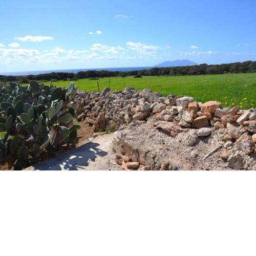 Casa Minerva Favignana -cala rotonda