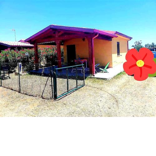 Casa Mony