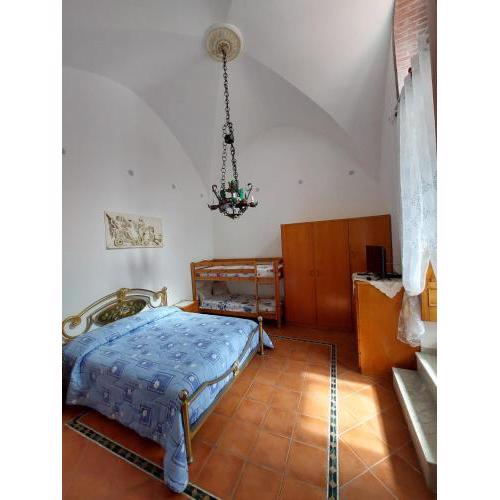 Casa Muse